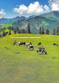 Manshi Top in Mansehra